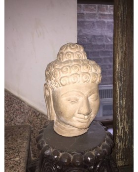 Buddha Buddha